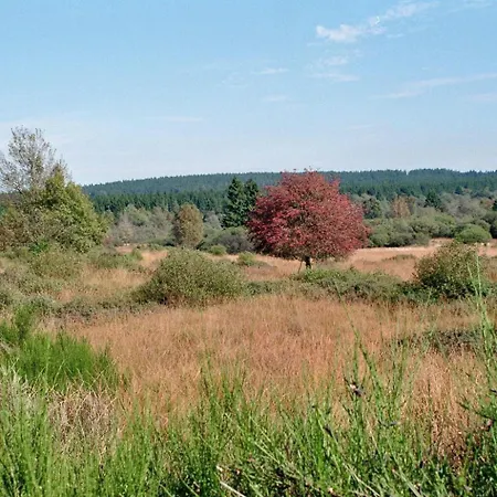 펜션 Schoene Aussicht Am Eifelsteig