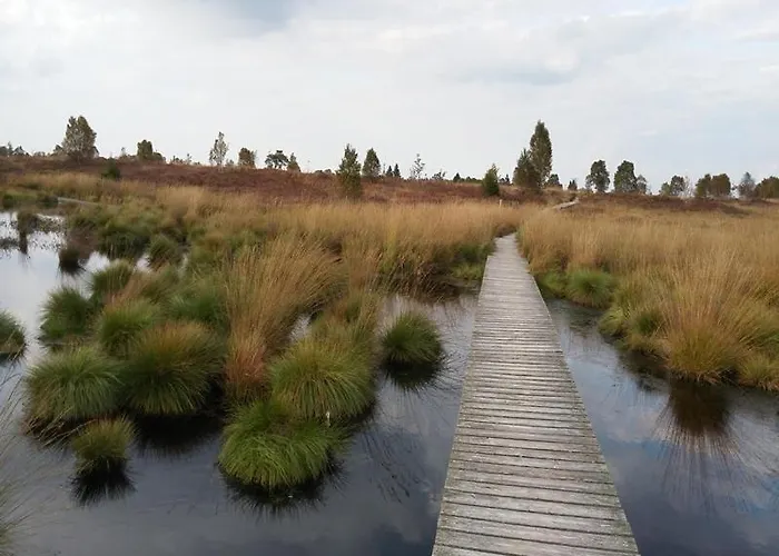 Schoene Aussicht Am Eifelsteig 蒙绍