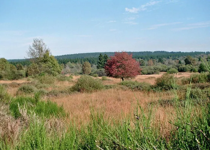 度假居 Schoene Aussicht Am Eifelsteig